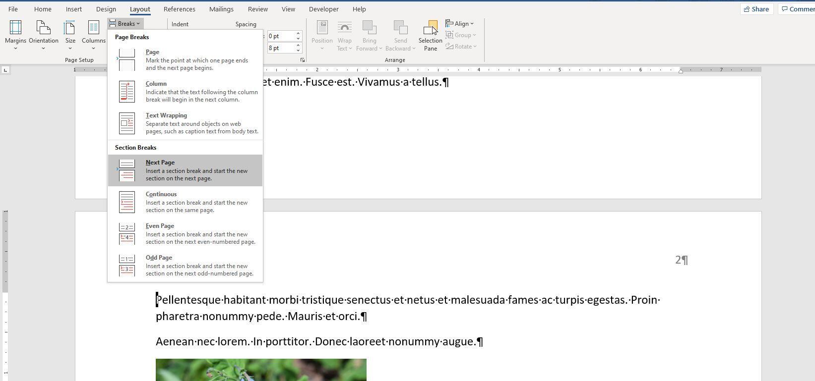 word document missing pages
